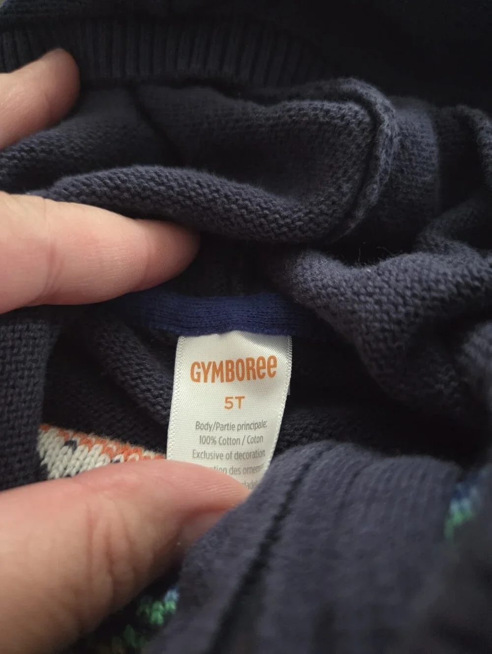 Gymboree pair hooded